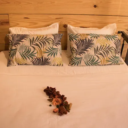 Albergue Amelia By Gaiarooms Salamanca